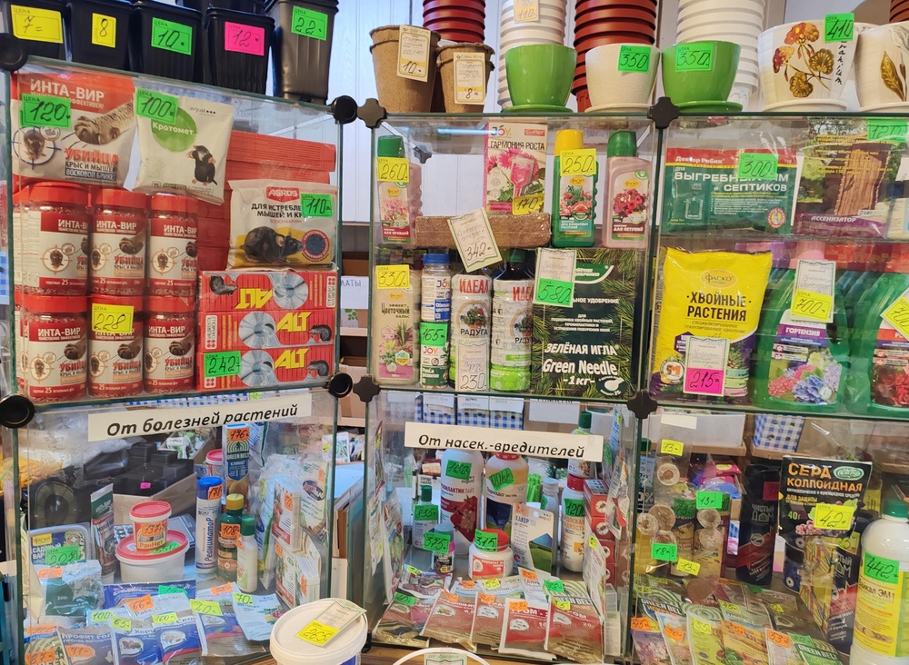 Лучшие сорта семян со всей России